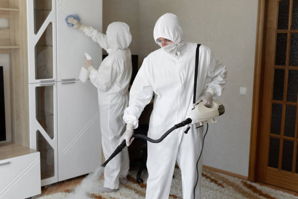 Mold Removal Process in Odenton, MD