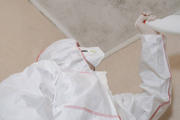 Best Mold Remediation Experts  in Odenton, MD